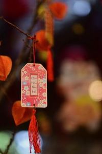 xì tố di động MB66